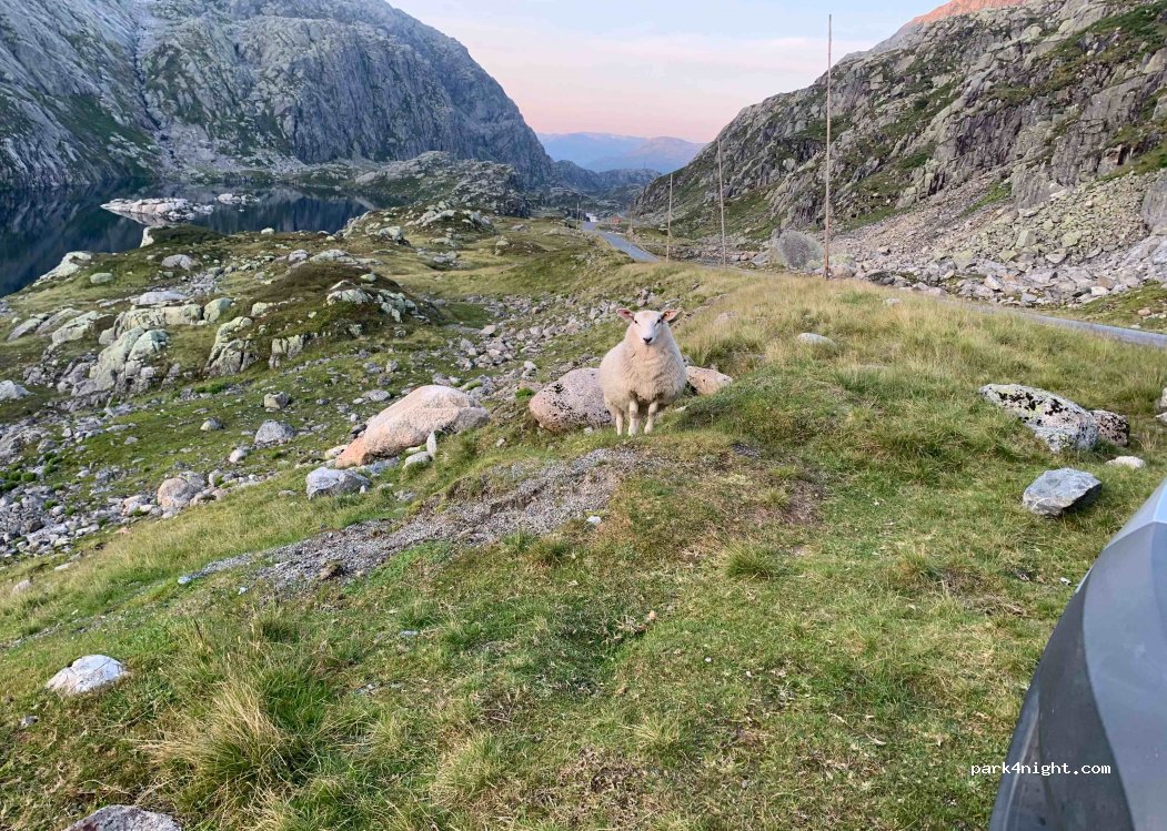 (5760) Røldal - Primær Fylkesveg 520 — foto 3