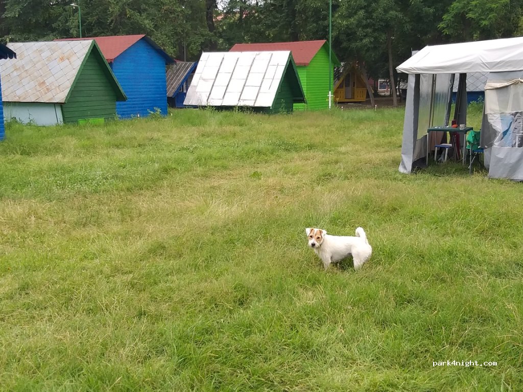 Camping Lacul Sărat — foto 2
