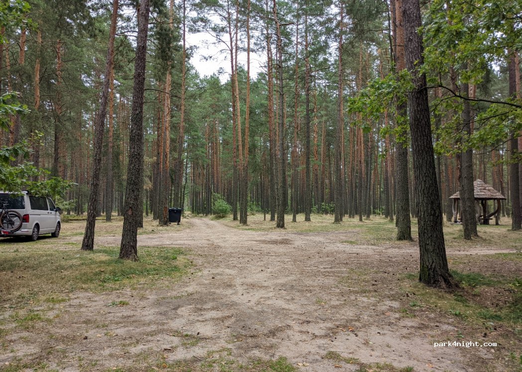 (65403) Senoji Varėna - Unnamed Road — foto 2
