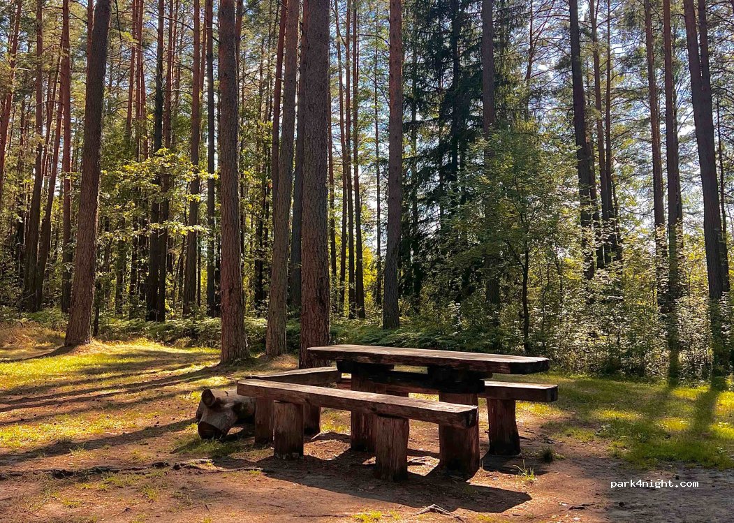 (65403) Senoji Varėna - Unnamed Road — foto 4