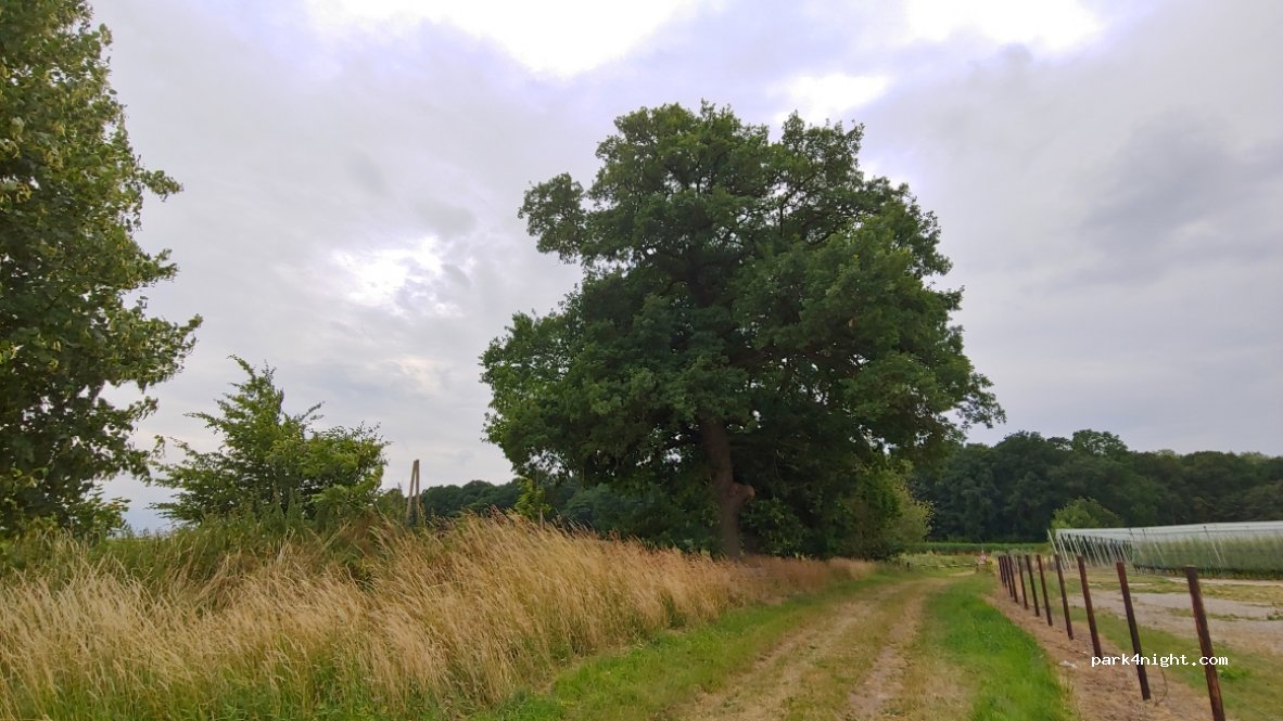 (4530) Villers-le-Bouillet - Les Cinq Bonniers — foto