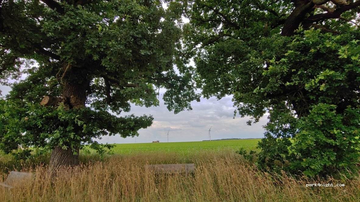 (4530) Villers-le-Bouillet - Les Cinq Bonniers — foto 3