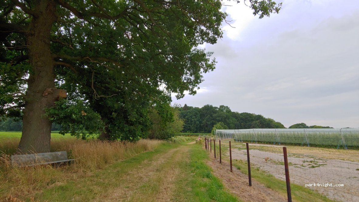(4530) Villers-le-Bouillet - Les Cinq Bonniers — foto 4