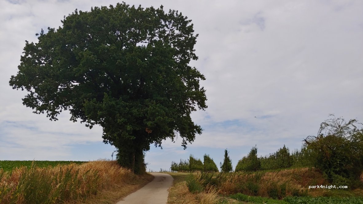 (4530) Villers-le-Bouillet - 1/a Rue des Meuniers — foto 3