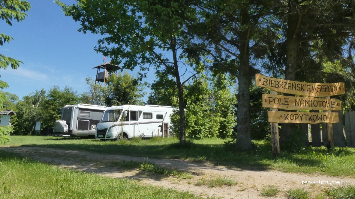 Biebrzańskie Safari - Pole namiotowe — foto
