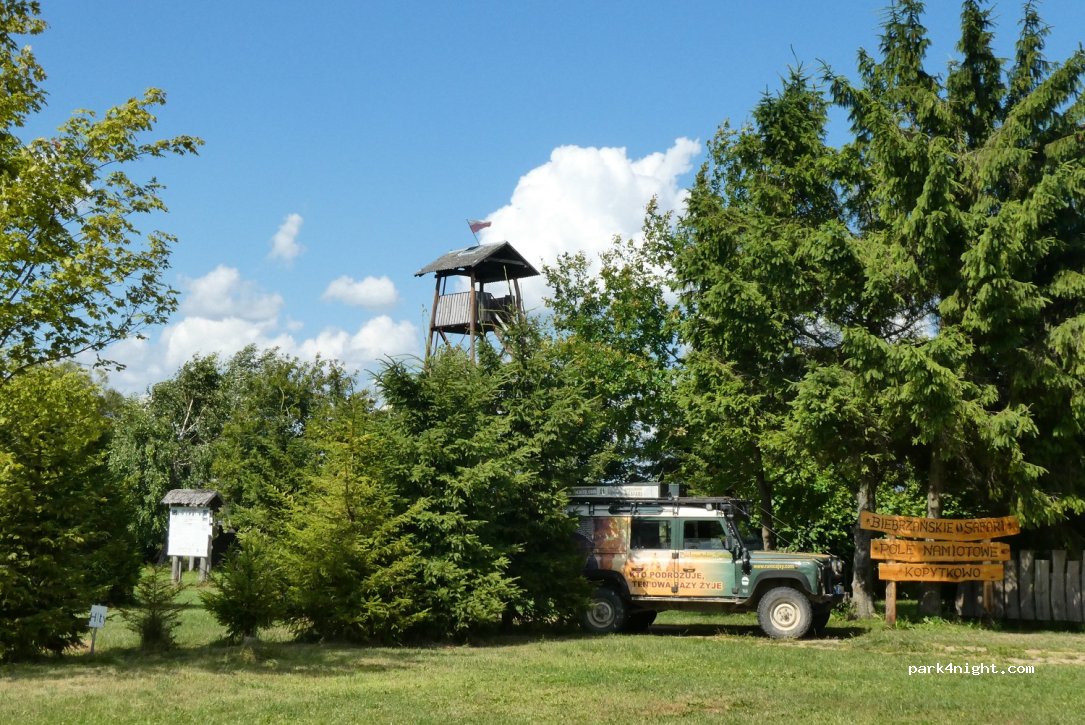 Biebrzańskie Safari - Pole namiotowe — foto 2