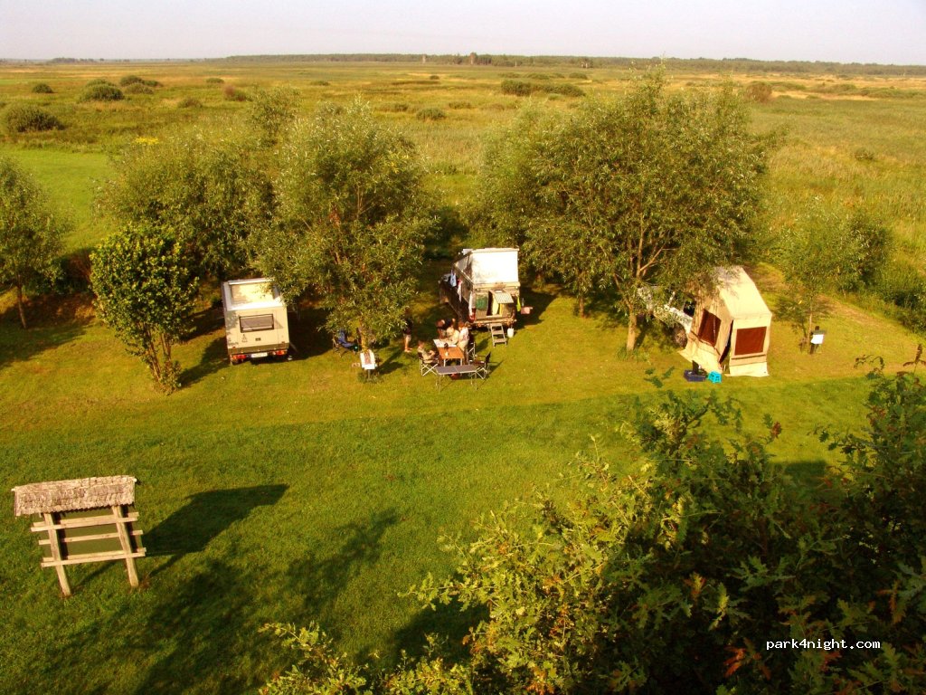 Biebrzańskie Safari - Pole namiotowe — foto 4