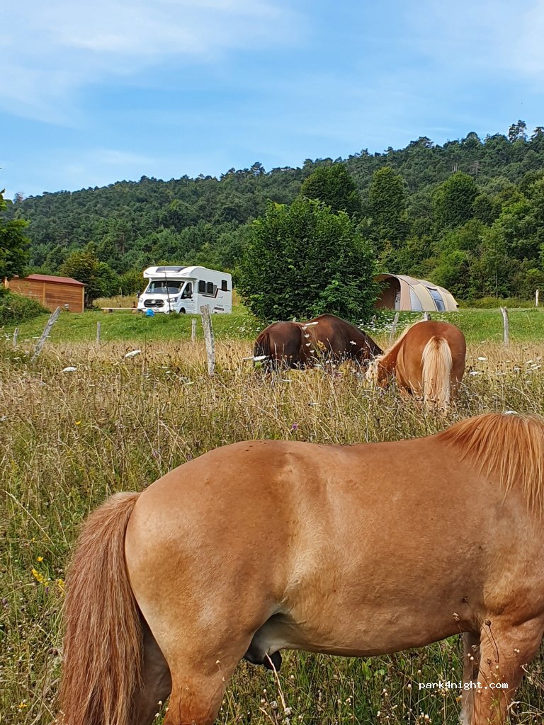 Sunrise hill camp — foto 5