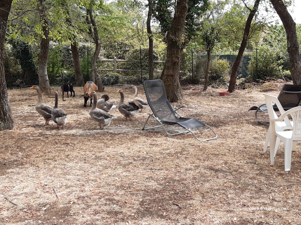 Camping Les Roches — foto 2