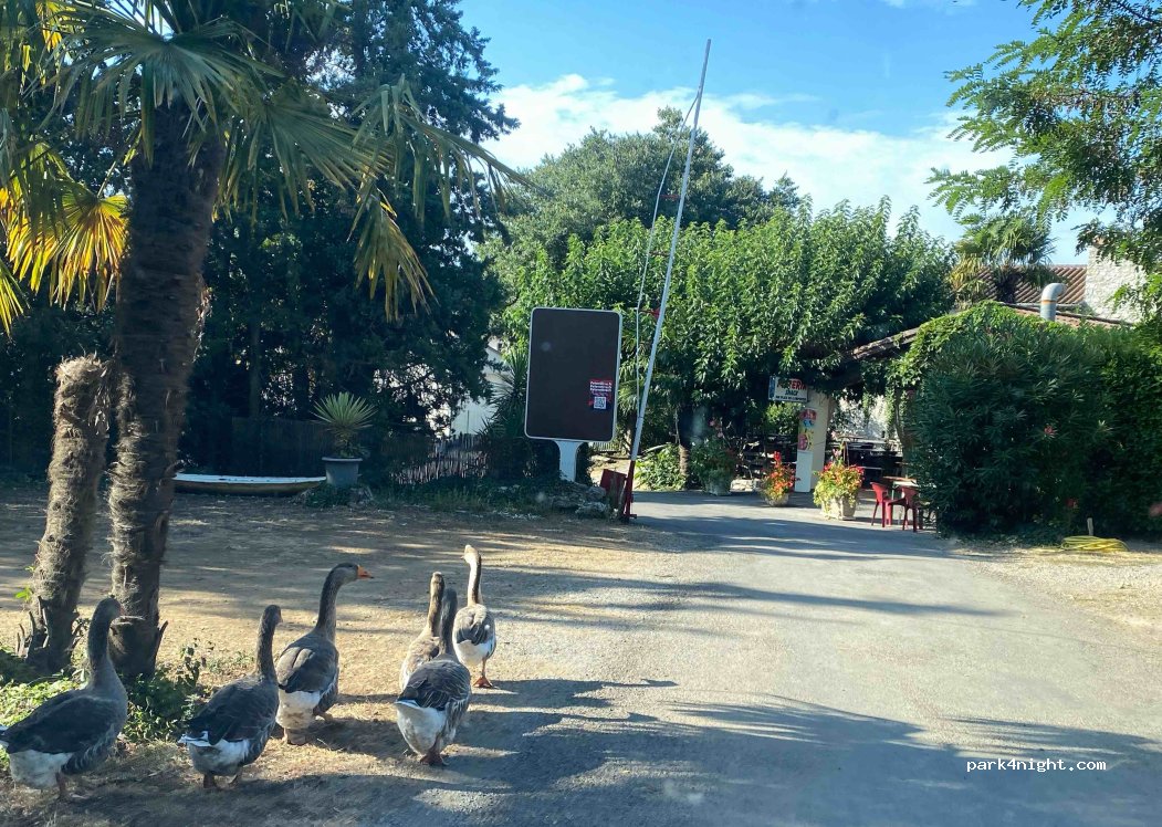 Camping Les Roches — foto 4
