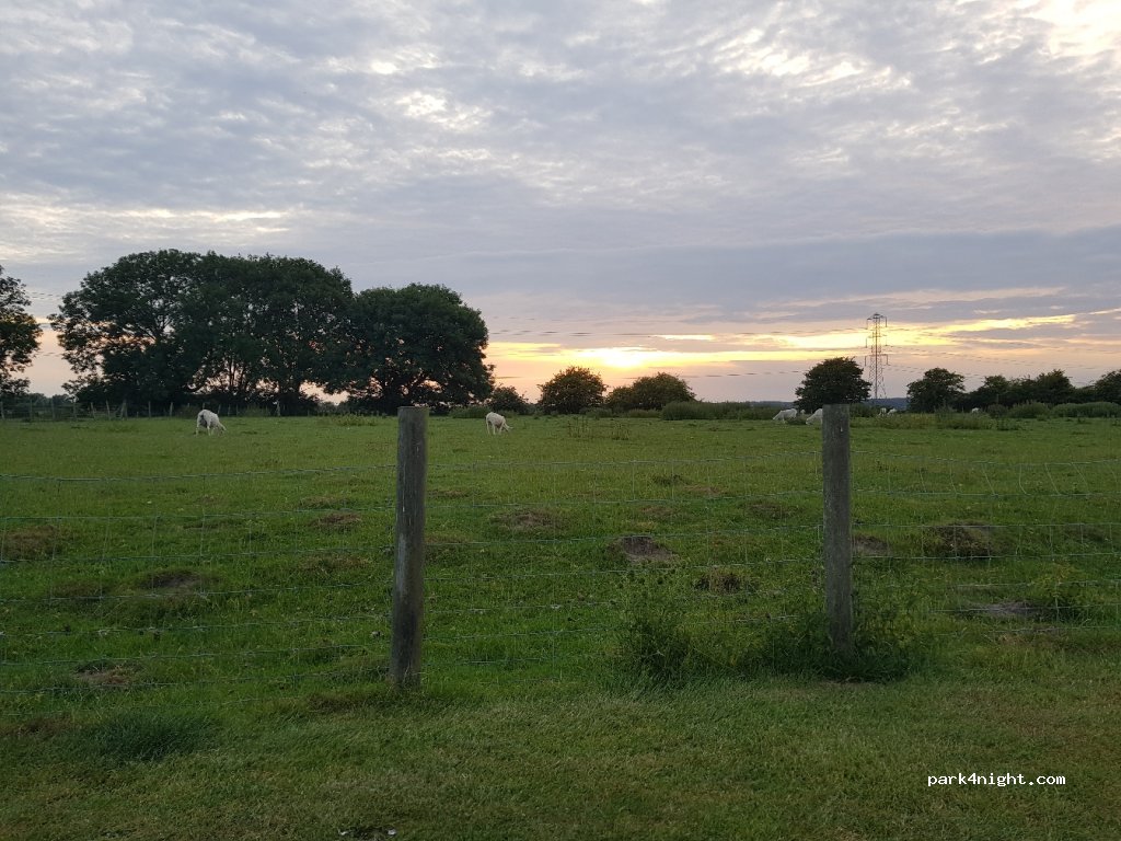 Norwood Farm Caravan & Camping Park — foto 2
