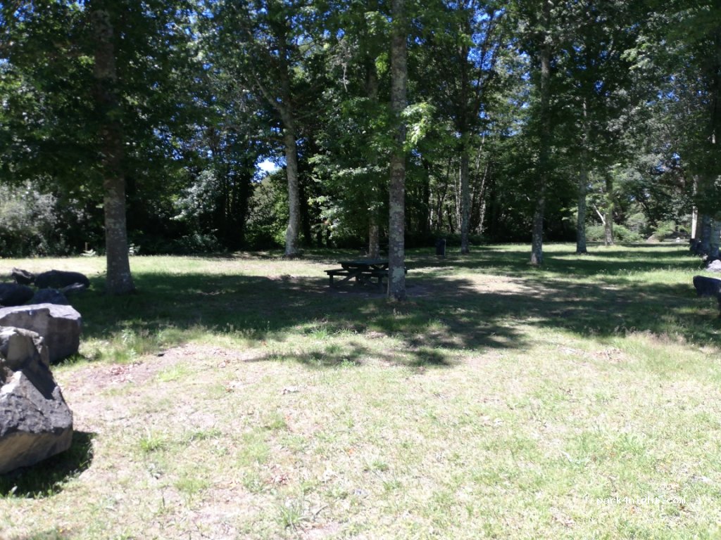 (40560) Vielle-Saint-Girons - 1242 Route de Merle — foto