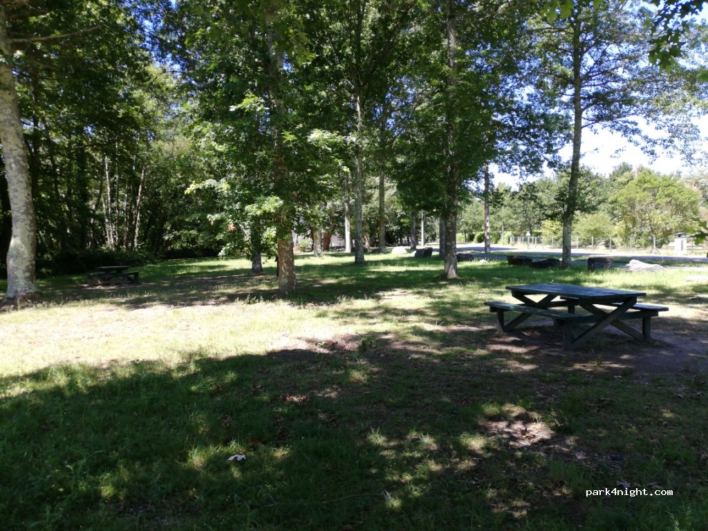 (40560) Vielle-Saint-Girons - 1242 Route de Merle — foto 2
