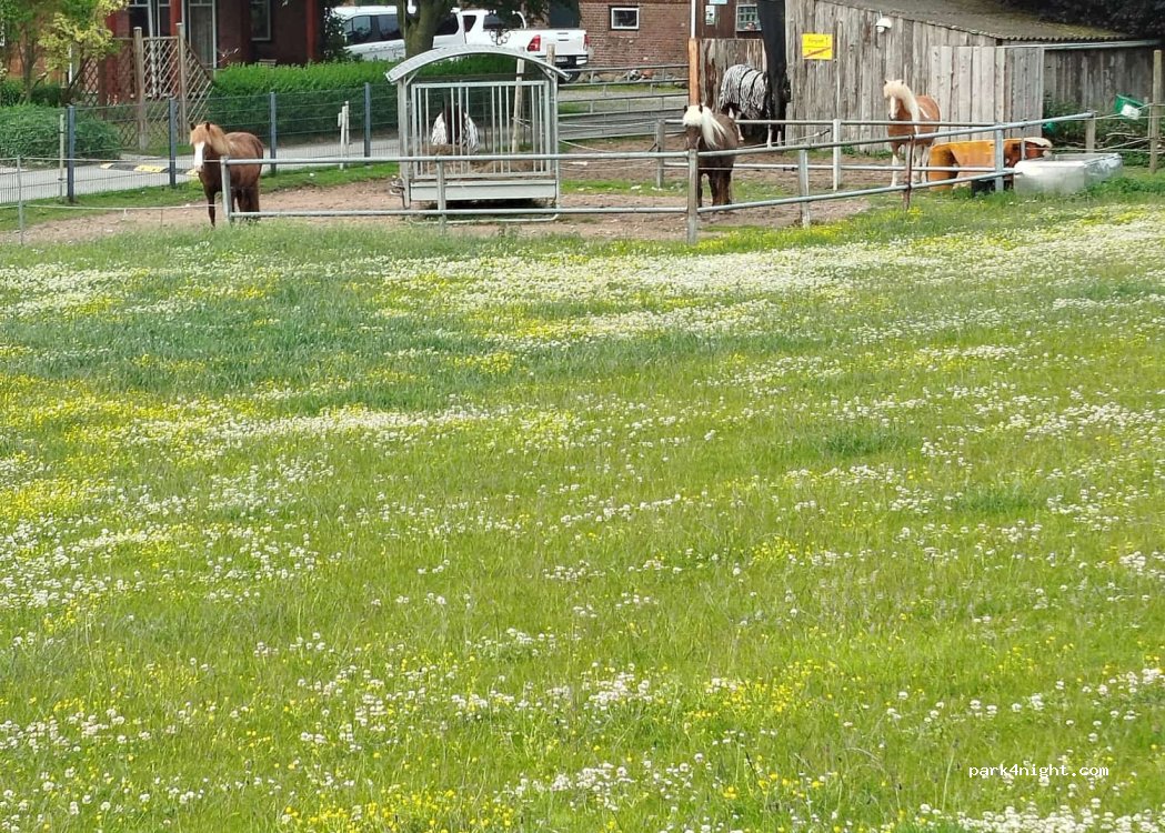 Ostseebauernhof Schönhagen — foto 5