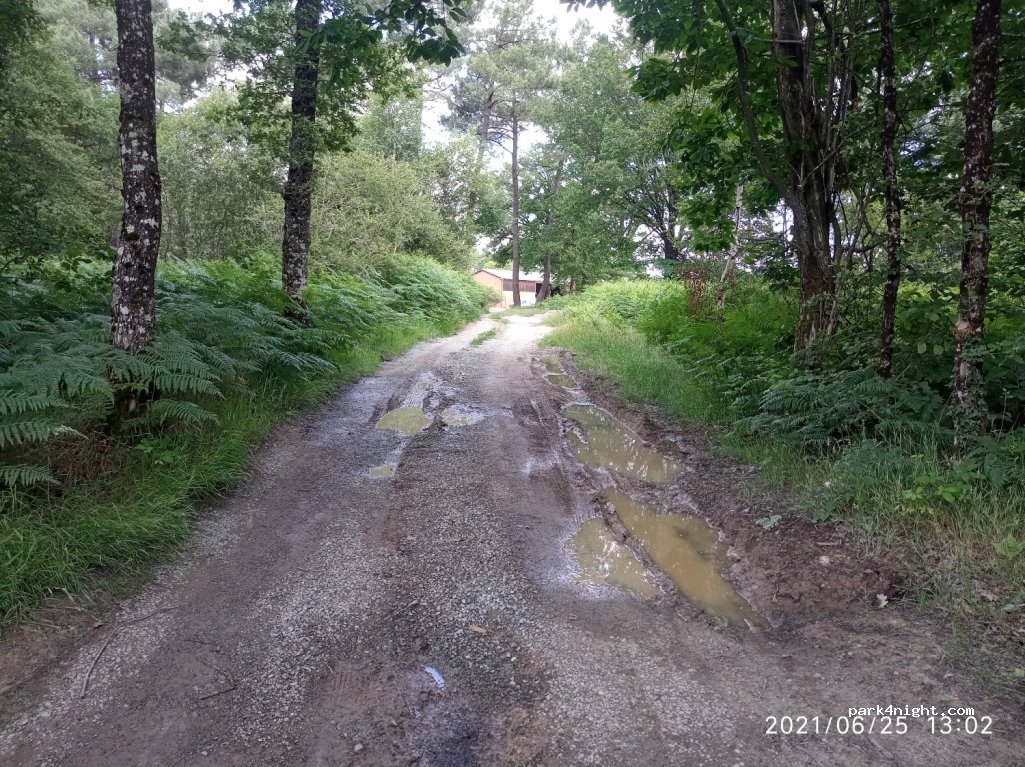 (87300) Blanzac - 12 Beauchamps — foto