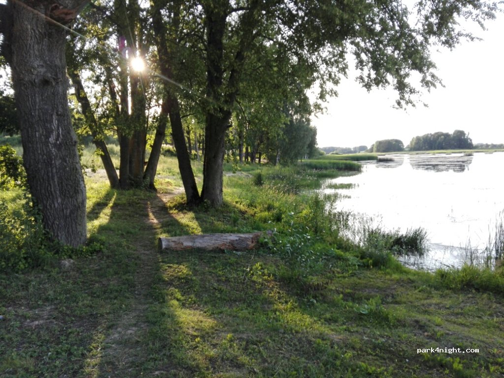 (3730) Tērvetes pagasts - Unnamed Road — foto 3