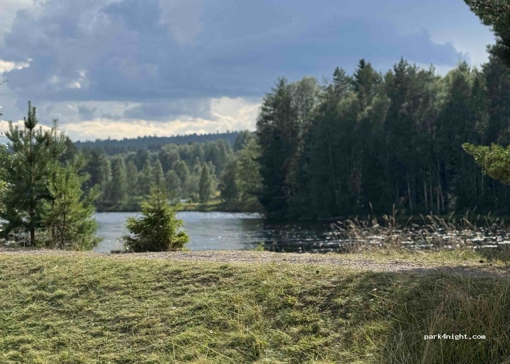 Älvdalens Camping — foto 5