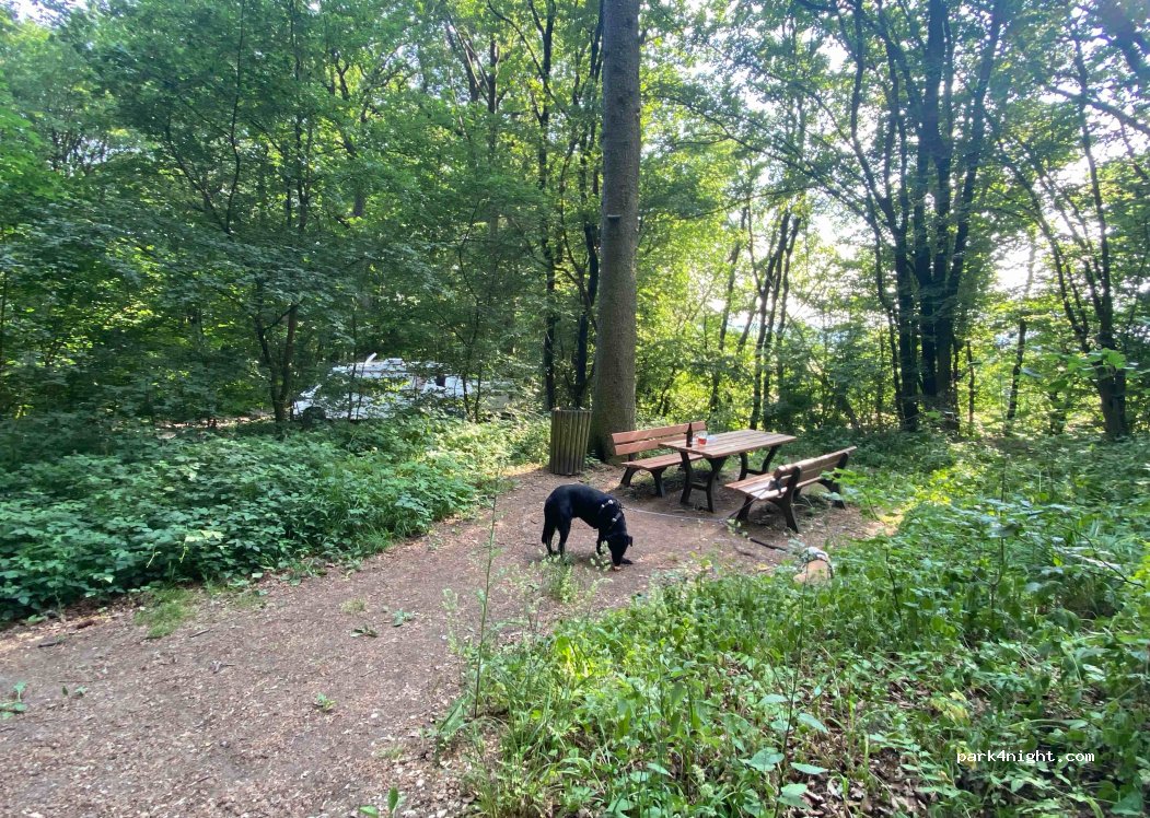 (91365) Weilersbach - FO11 — foto 3