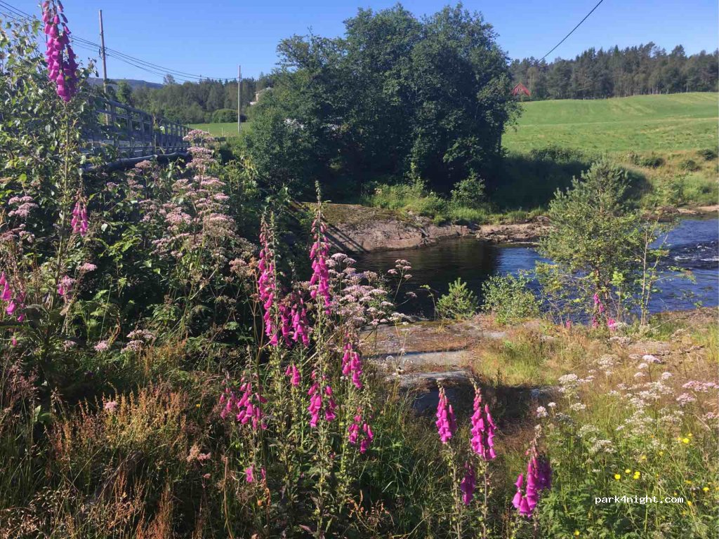 (6968) Flekke - 1 Primær Fylkesveg 57 — foto 2