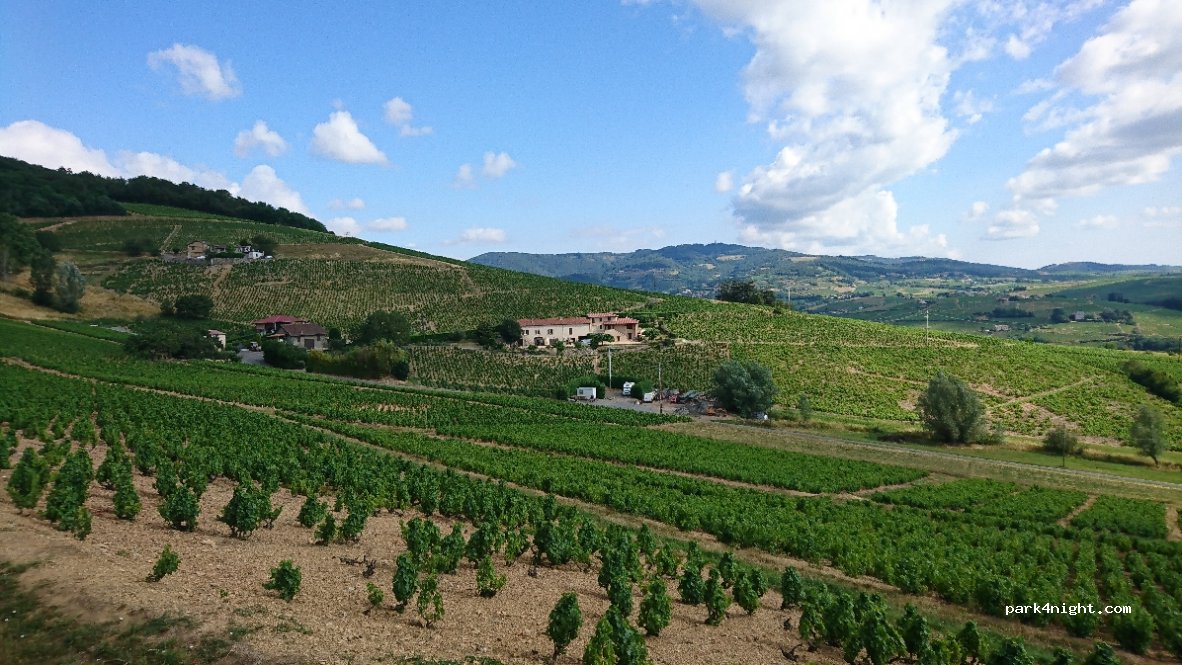 DOMAINE COTEAUX DES OLIVIERS — foto