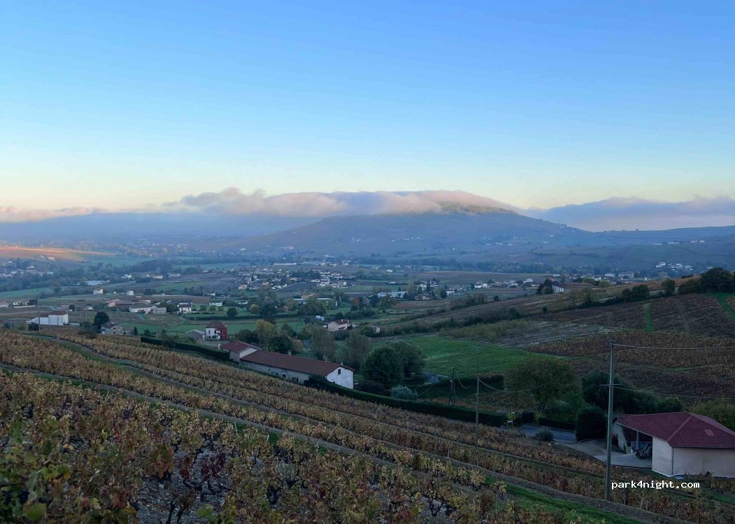 DOMAINE COTEAUX DES OLIVIERS — foto 3