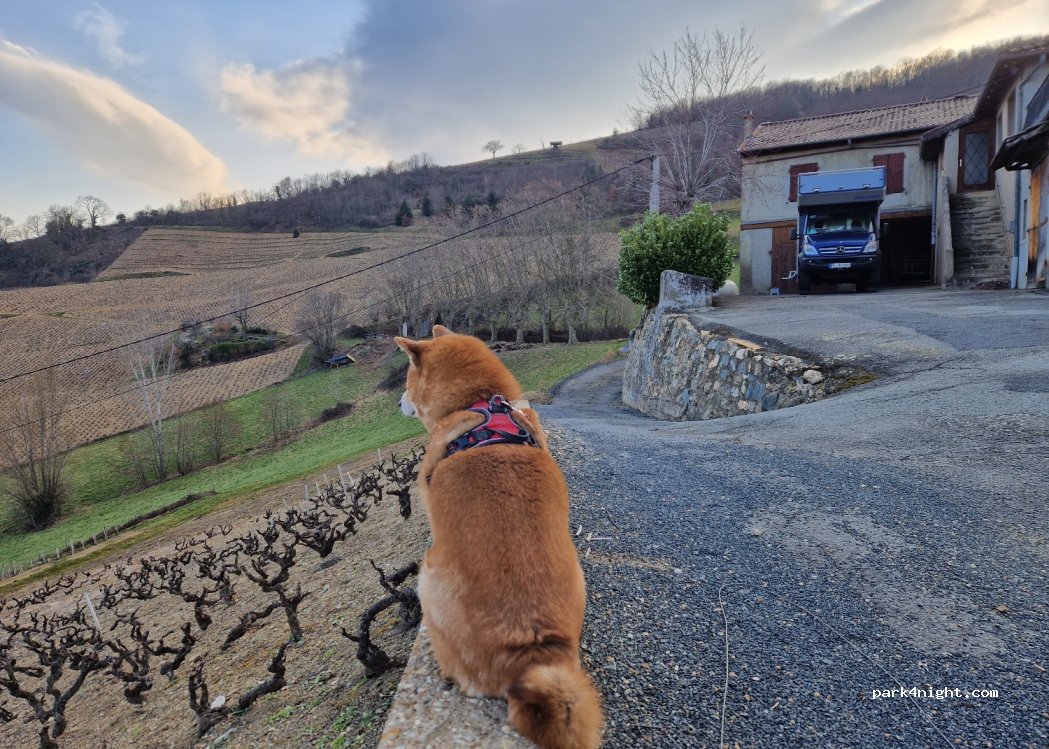 DOMAINE COTEAUX DES OLIVIERS — foto 4