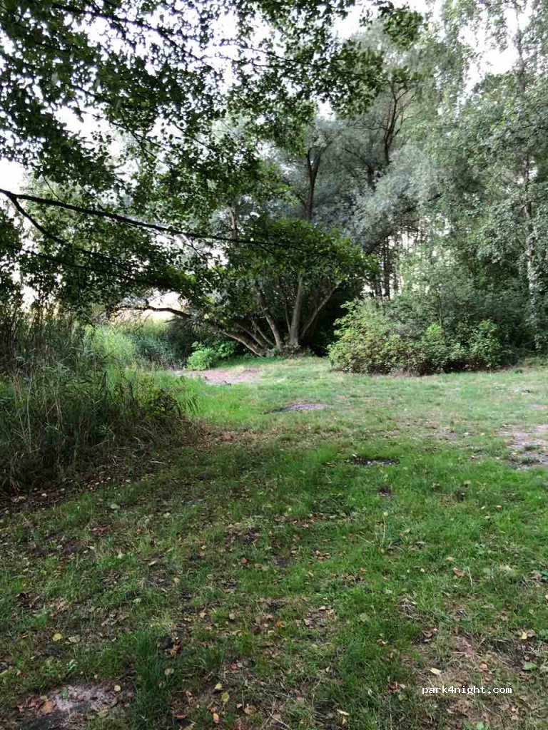 (44) Niewiesze - Pyskowicka — foto 3