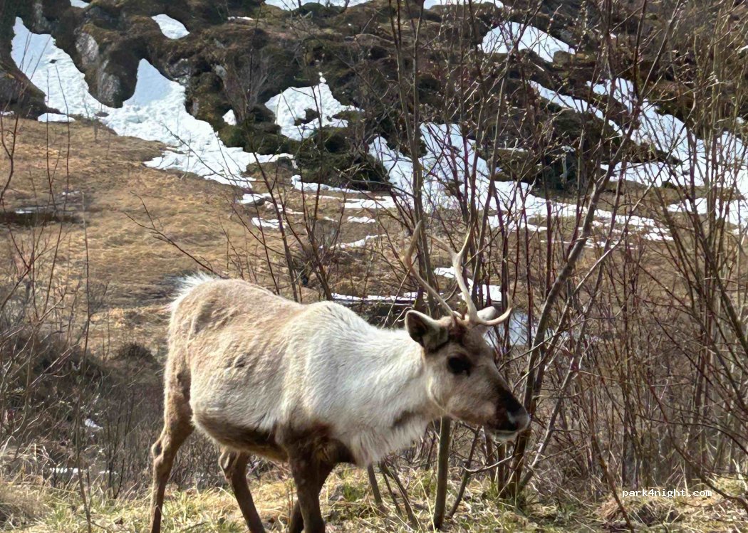(9385) Skaland - Primær Fylkesveg 86 — foto 4
