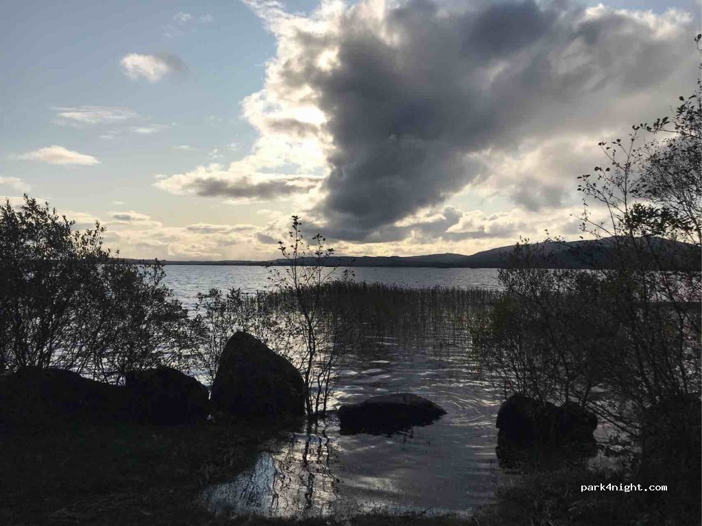 () Foxford - R318 — foto 3
