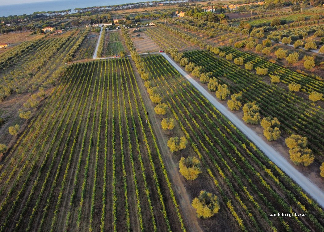 (57025) Riotorto, Piombino LI - 3 Località Campo ai Fagioli — foto 5