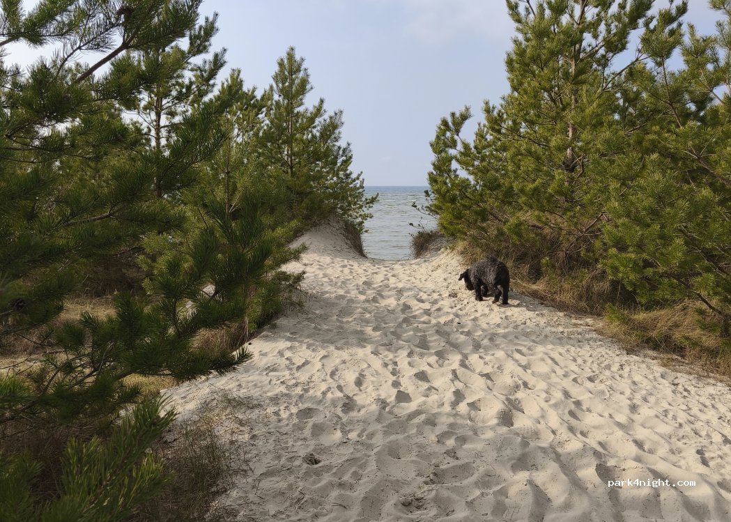 (17509) Lubmin - 5 Freesendorfer Weg — foto 5