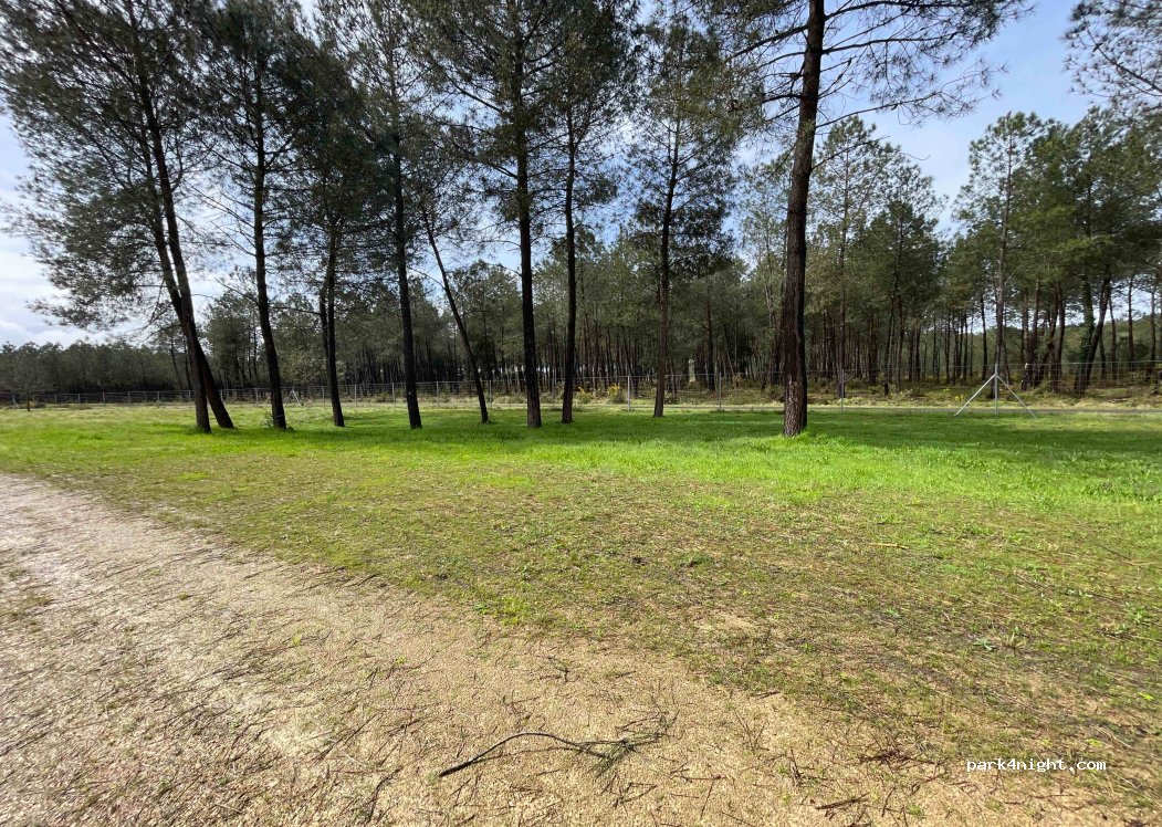 (40110) Onesse-Laharie - Route des Estuaires — foto 4