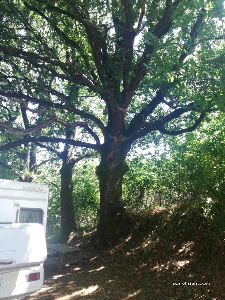 (85390) Mouilleron-en-Pareds - D949B — foto