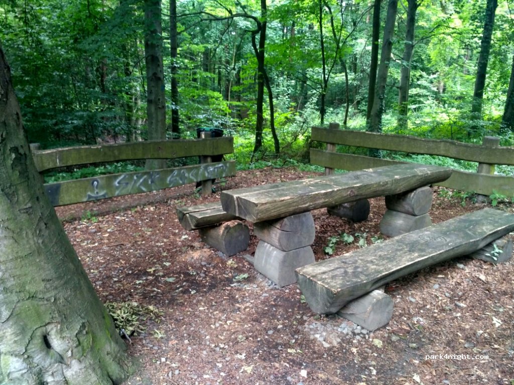 (44-370) Pszów - Karola Miarki — foto 2