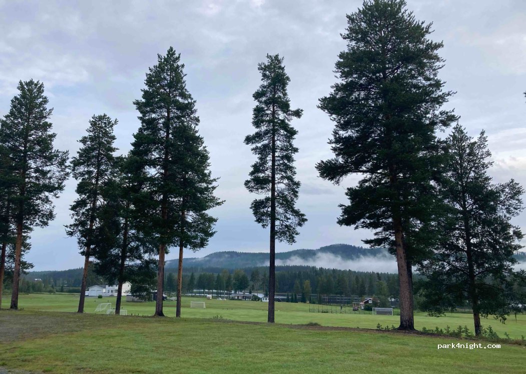 Fromhedens Camping — foto 4