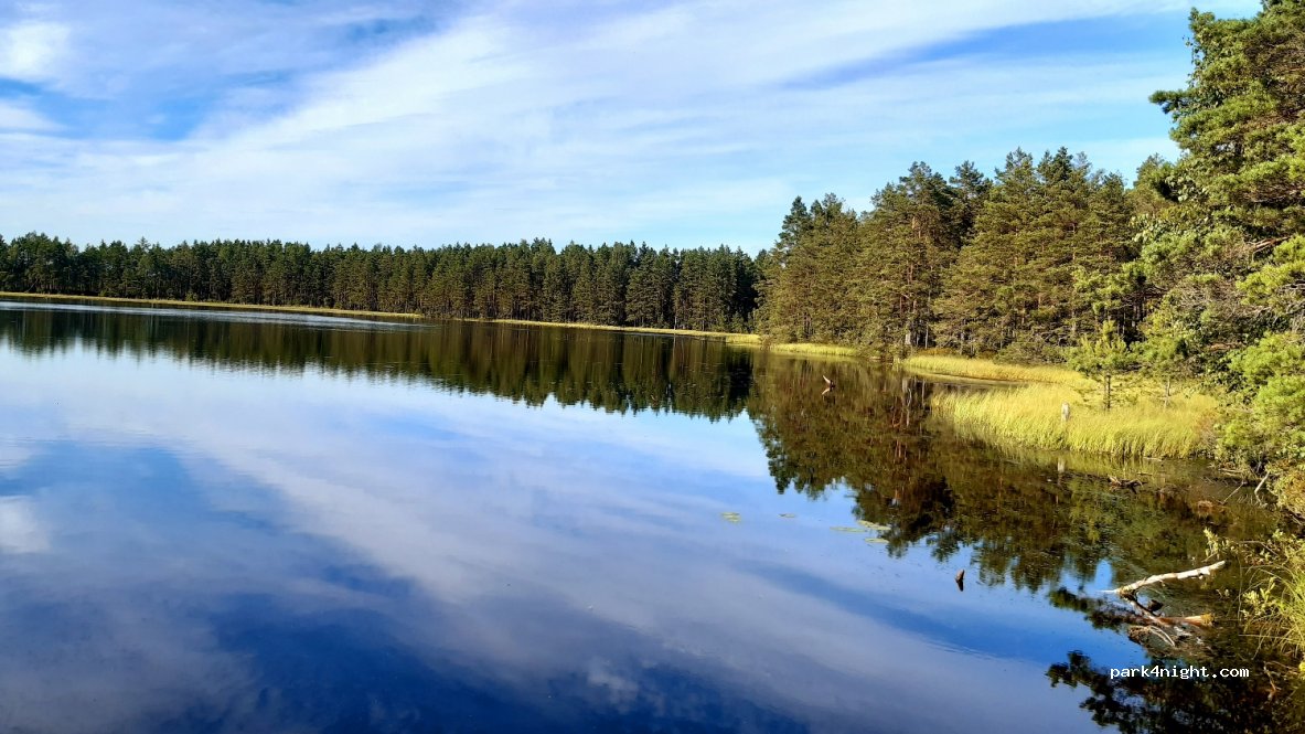 (2011) Jūrmala - Unnamed Road — foto 3
