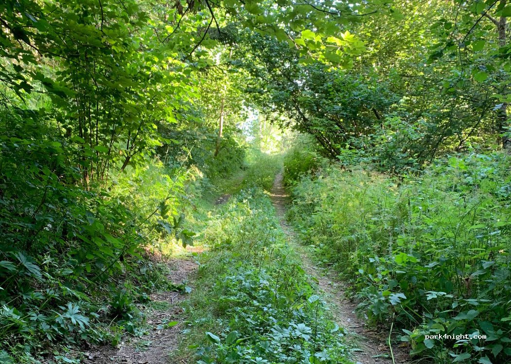 (74210) Montmin - Chemin Rural dit du Preverel — foto 3