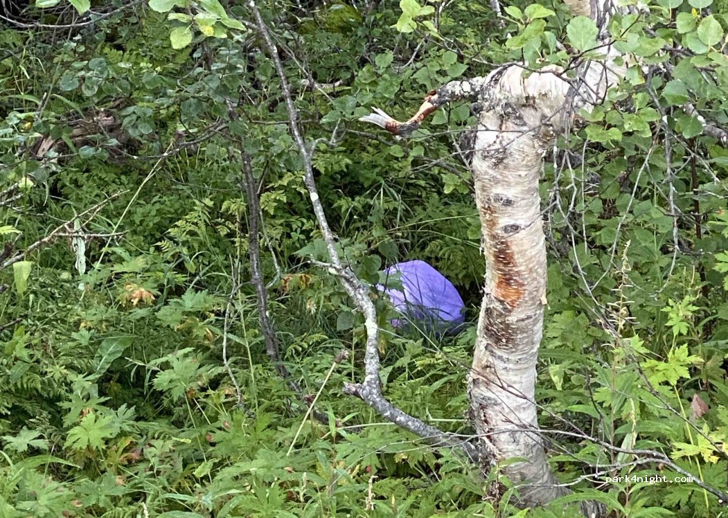 (833 99) Stora Blåsjön - Unnamed Road — foto 5