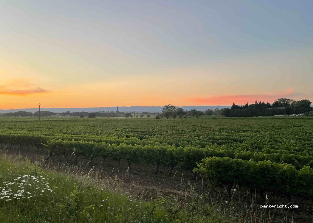 (11000) Carcassonne - Unnamed Road — foto 2