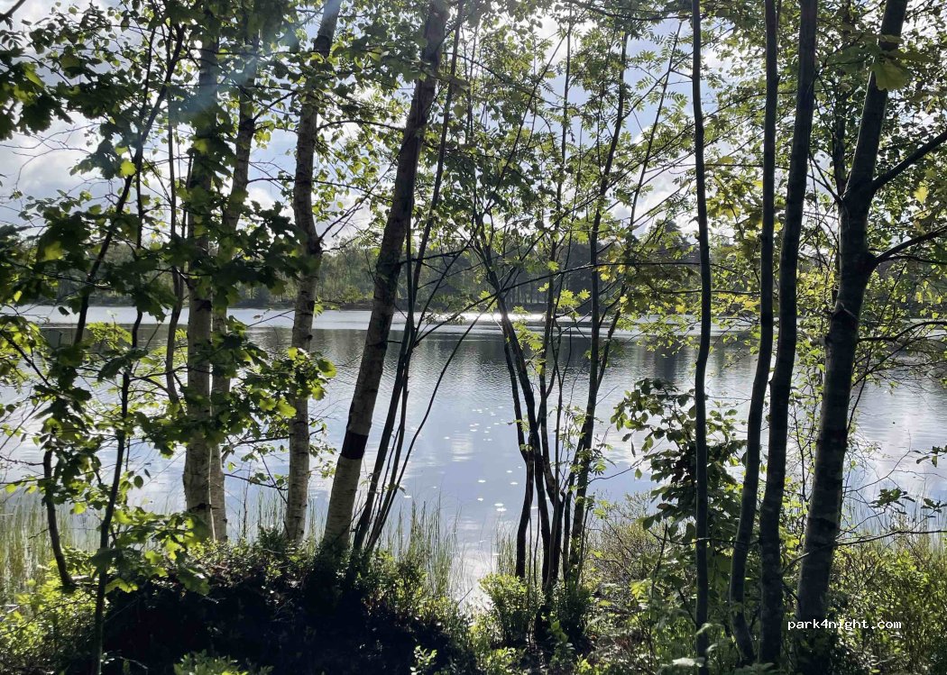 (287 93) Gunghult / Strömsnäsbruk - Unnamed Road — foto 5