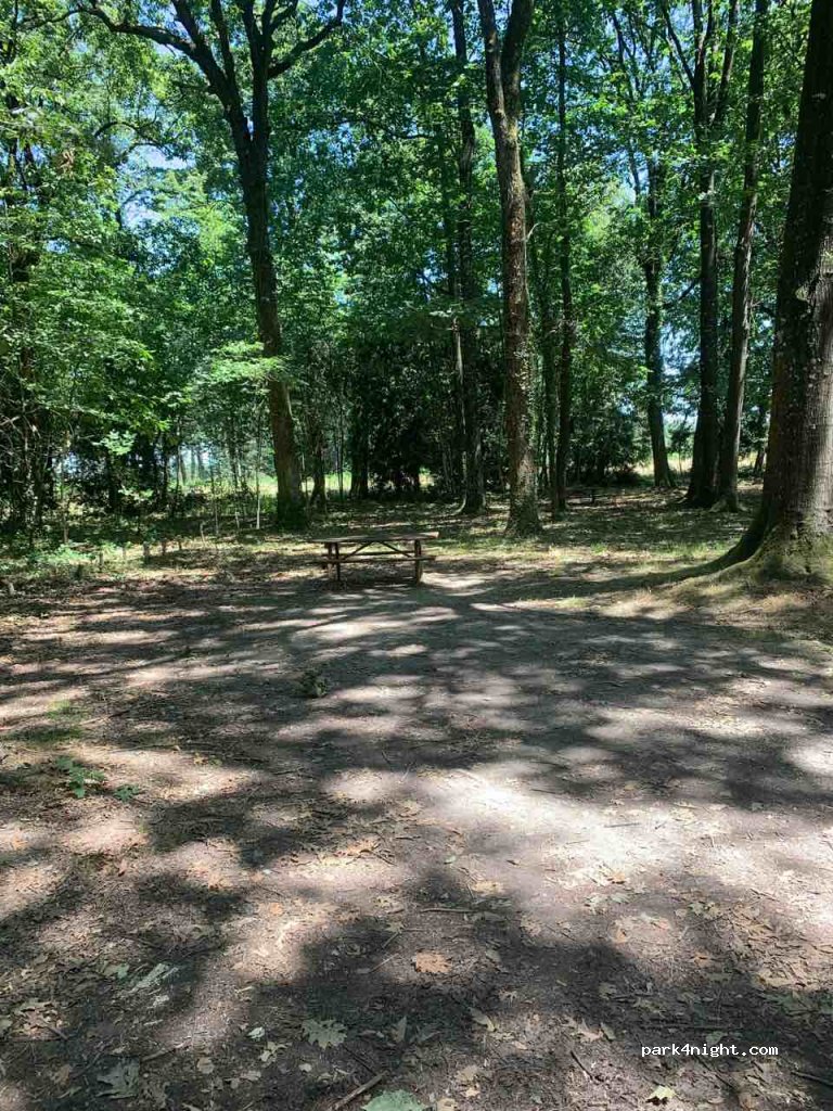 (79800) Souvigne - 75 D5 — foto