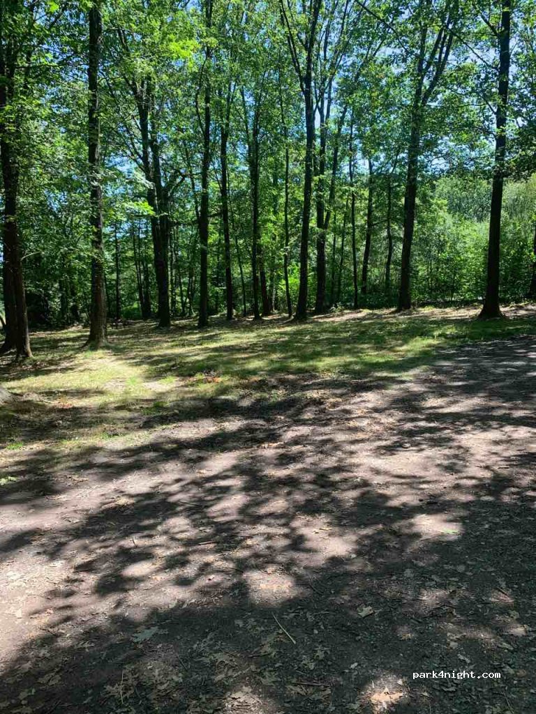 (79800) Souvigne - 75 D5 — foto 2