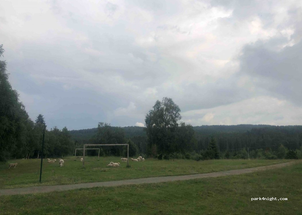 (7020) Trondheim - Gamle Bynesvei — foto 3