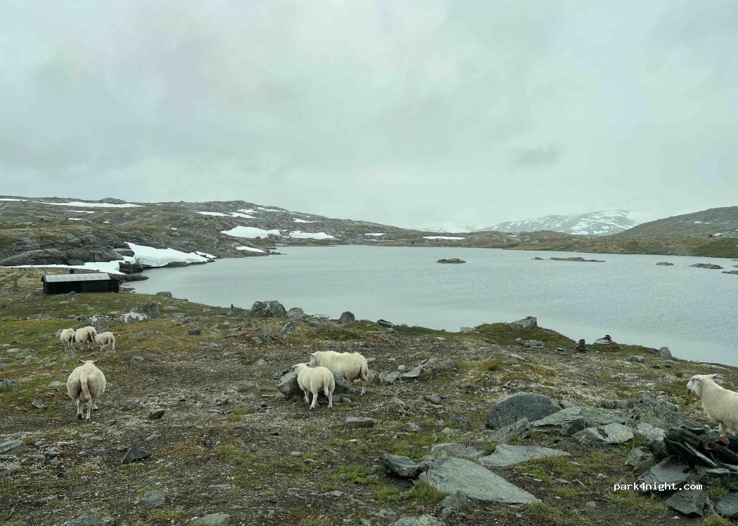 (6877) Fortun - Storvassvegen — foto 4