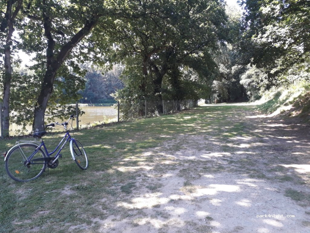 Camping municipal — foto 2