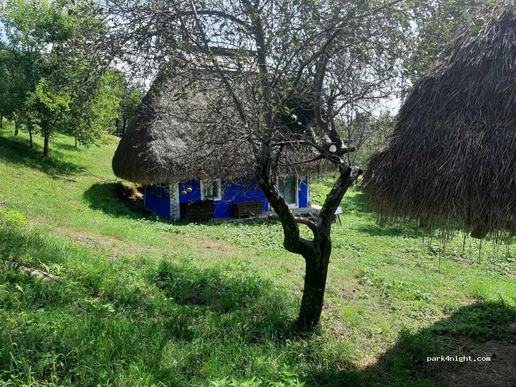 (430165) Baia Mare - 12 Strada Dealul Florilor — foto 2