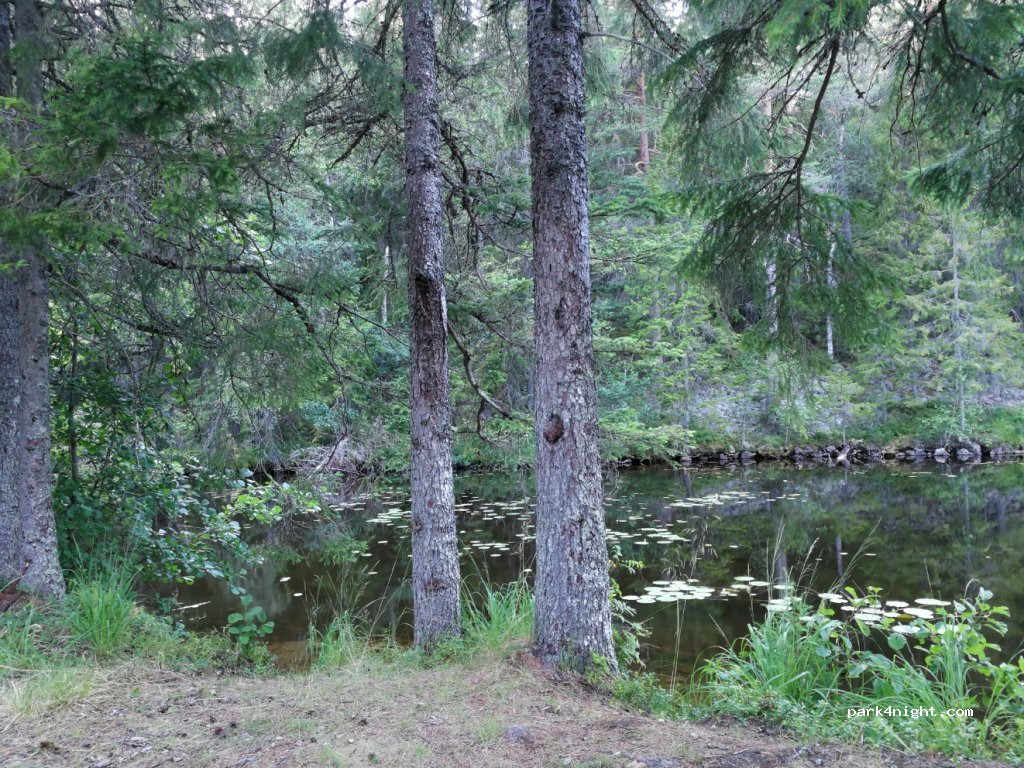 (670 20) Glava - Unnamed Road — foto 2