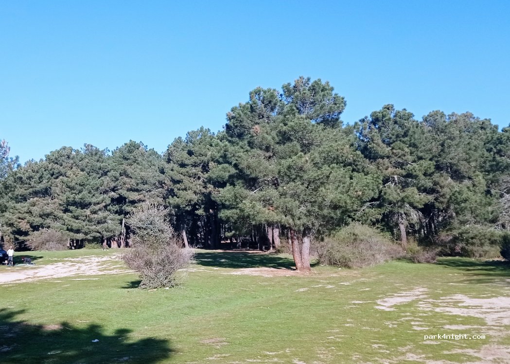 (28440) Guadarrama - — foto 3