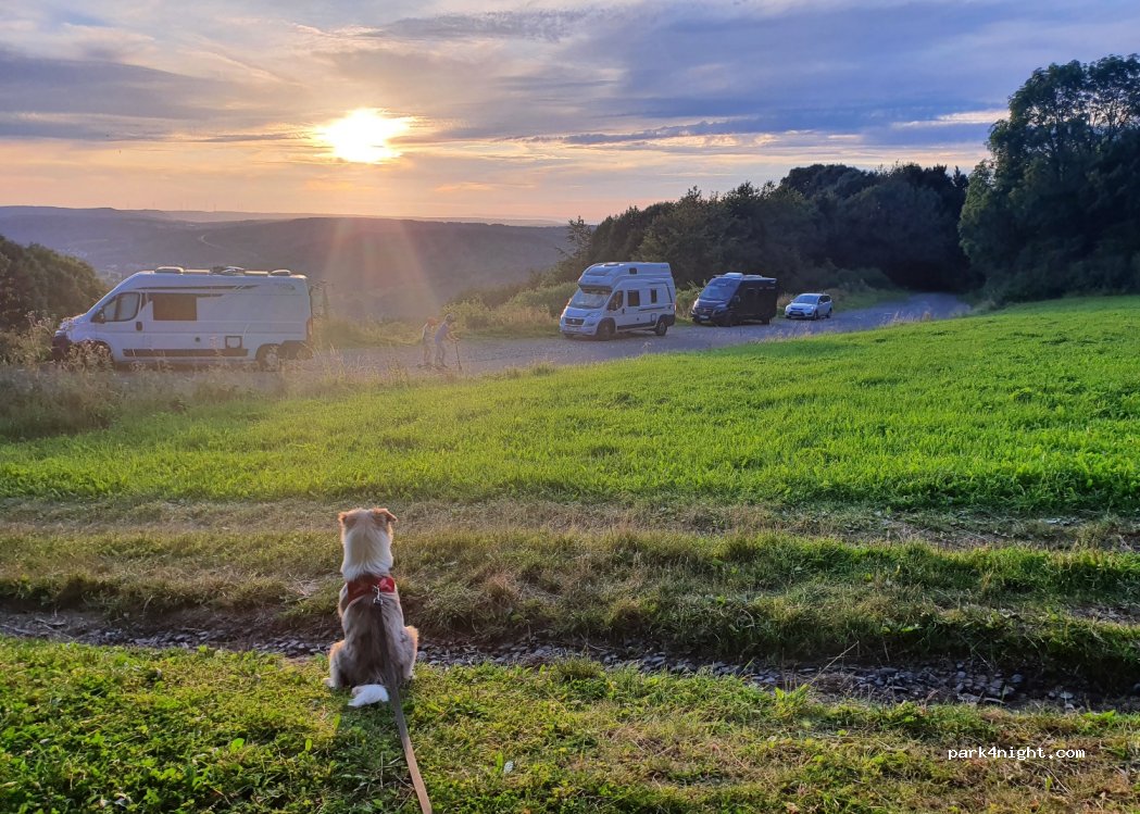 (97792) Riedenberg - Bergseestraße — foto 3