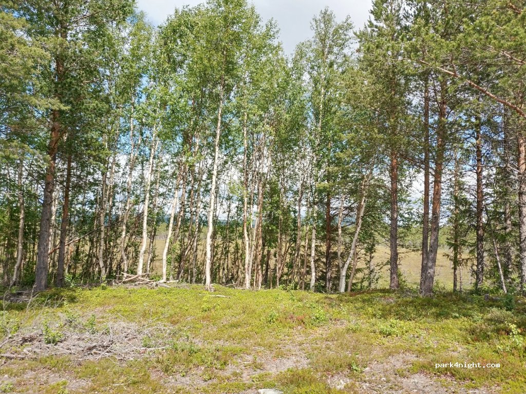 (830 12) Vålådalen - Unnamed Road — foto 2